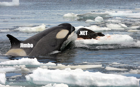 Killer Whale .NET